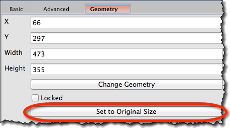 Image widget geometry properties